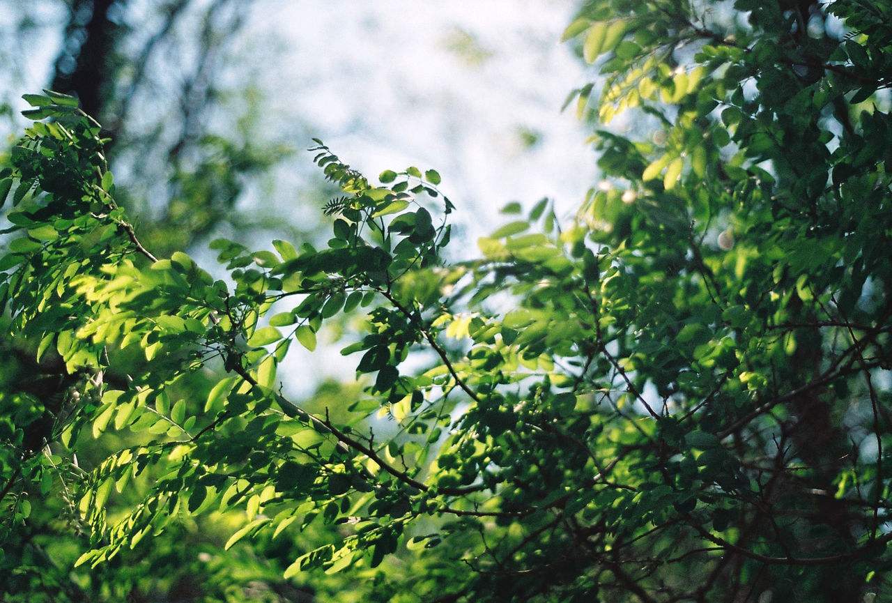 欧皇登录：
                    刚过一周，菜价降了！
   